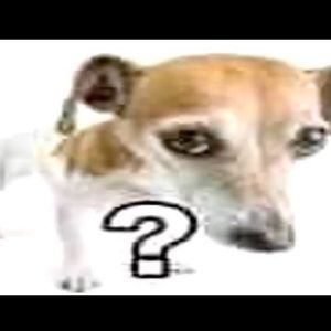 Meet your Posher, Alviva